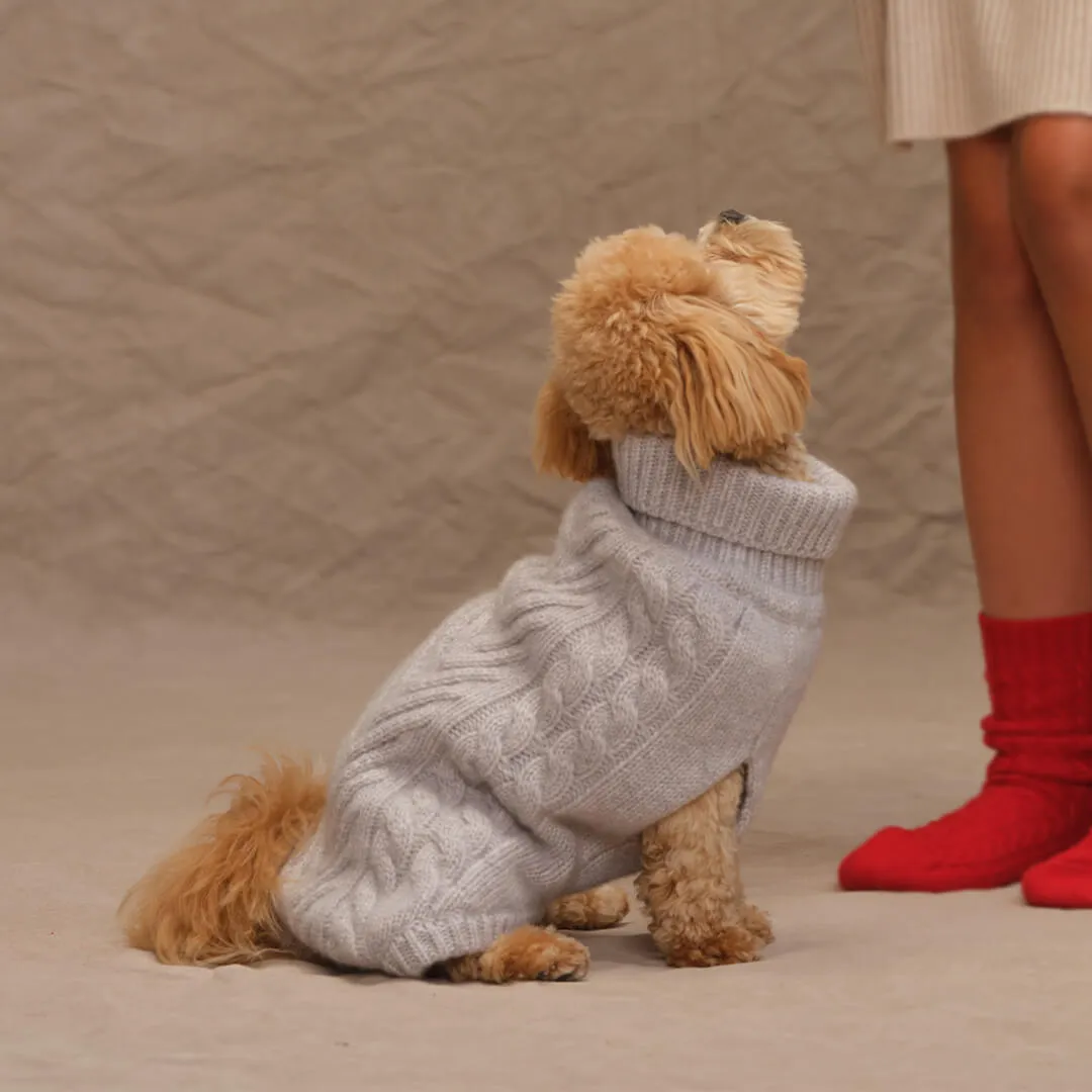 Doggie Sweater