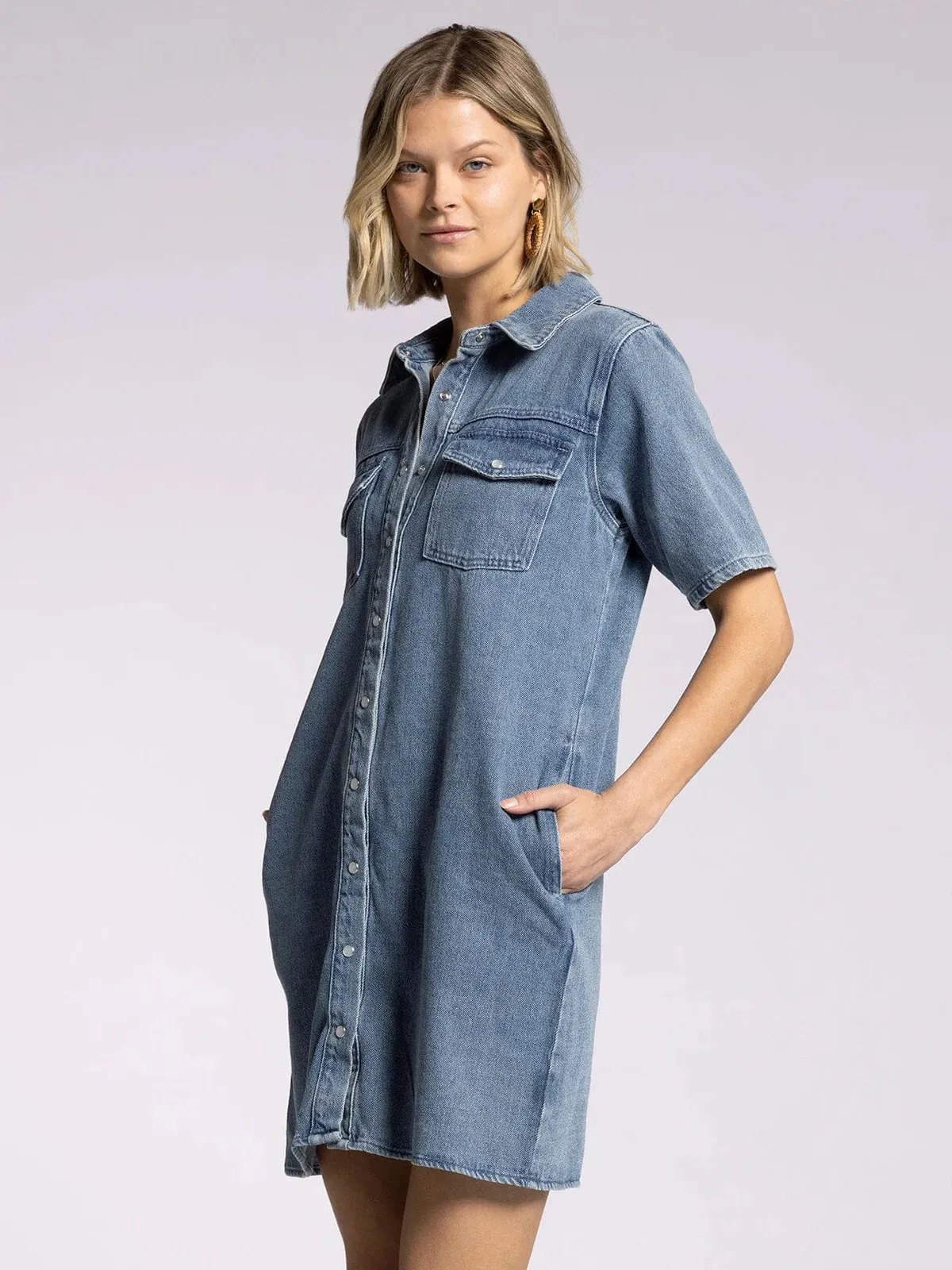 Phoenix Denim Dress