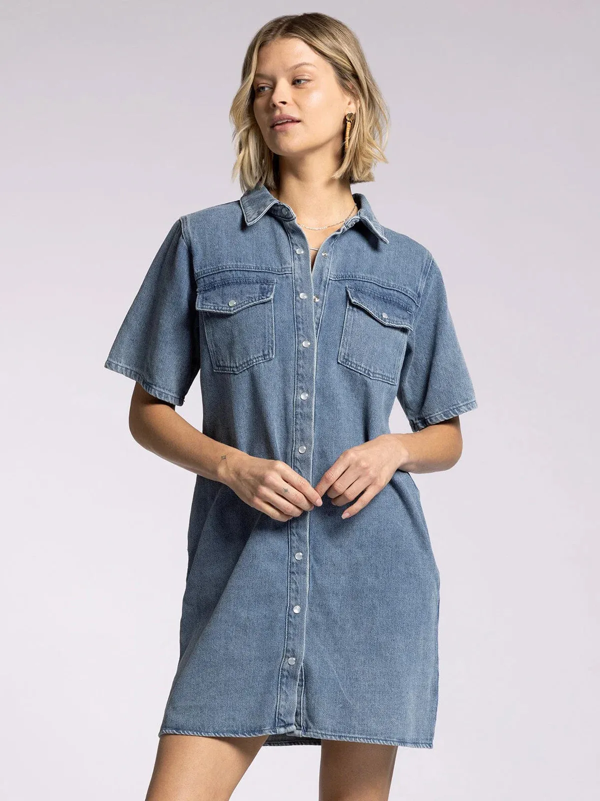 Phoenix Denim Dress