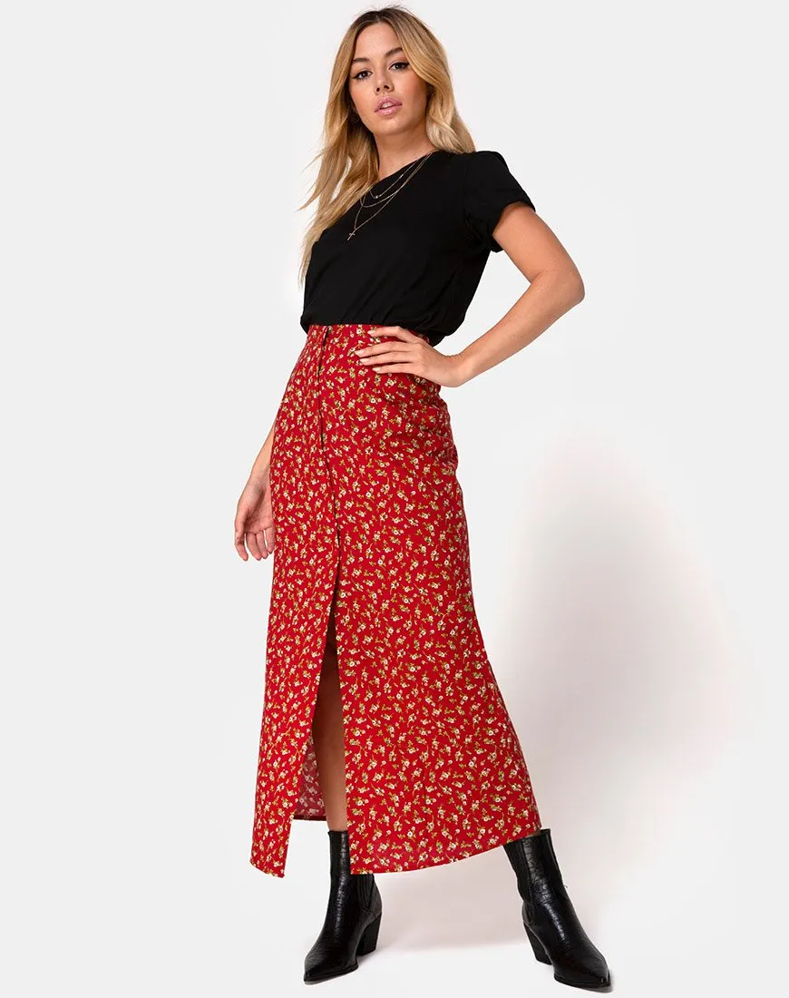 Rima Skirt in Falling For You Floral Red